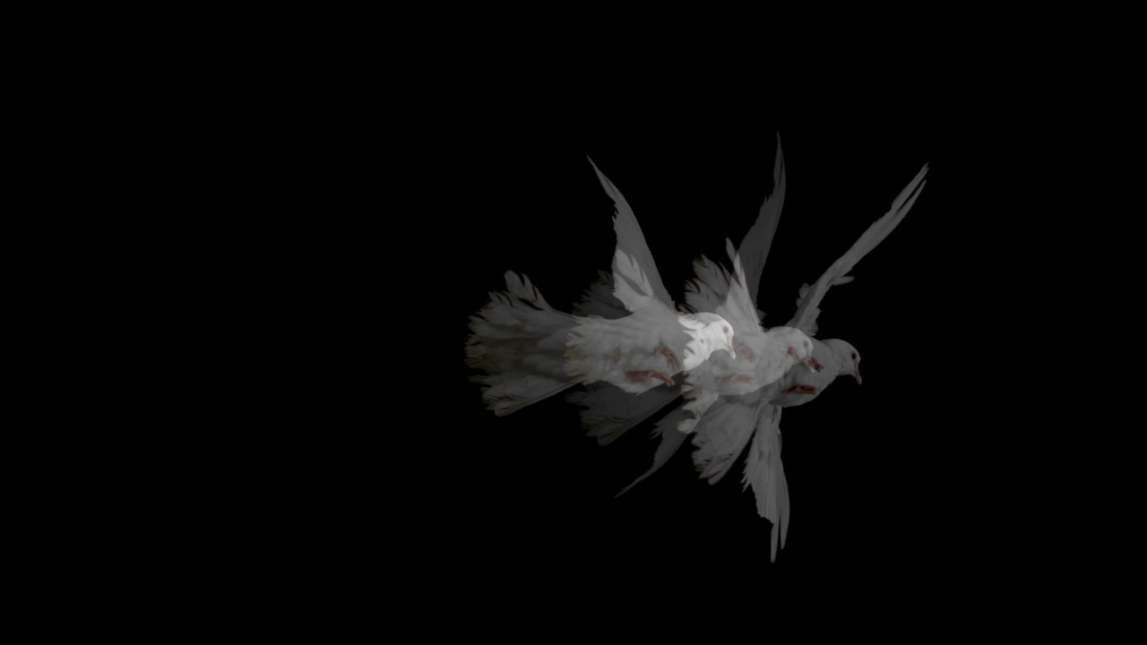 Doves (Loss of Love and Desensitization of Grief)