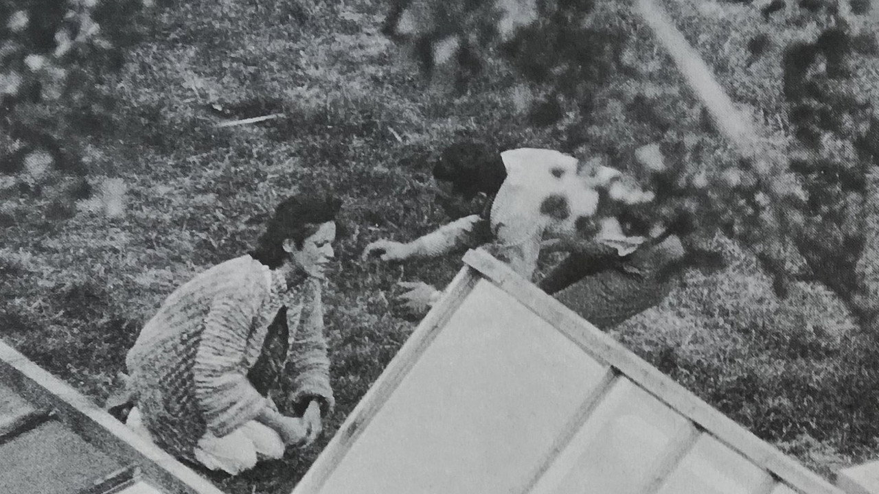 The Enclosure