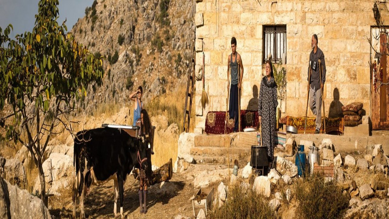 سايبة