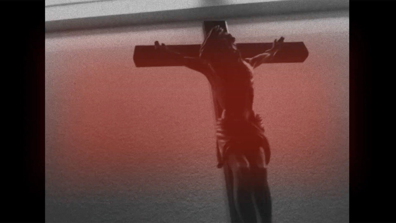 gottes schöpfung