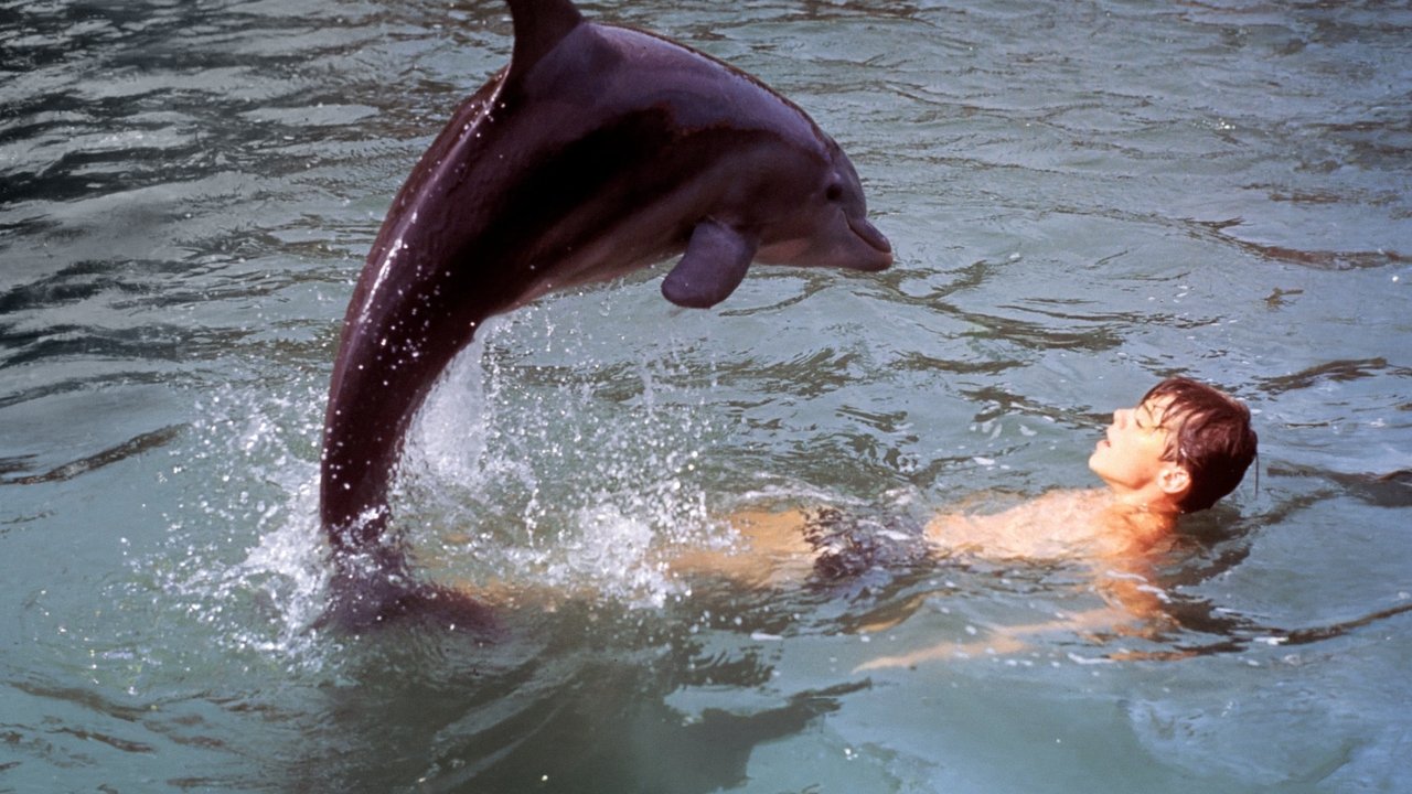 Les Nouvelles Aventures de Flipper le dauphin