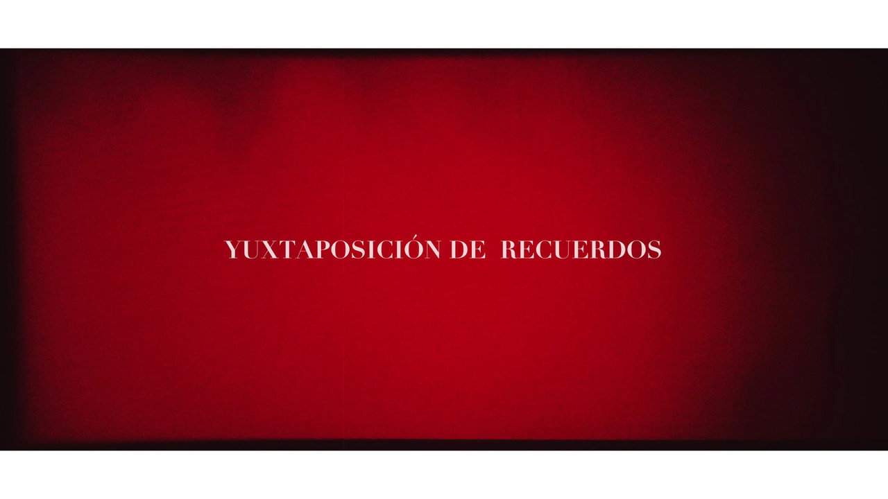 Yuxtaposición de recuerdos