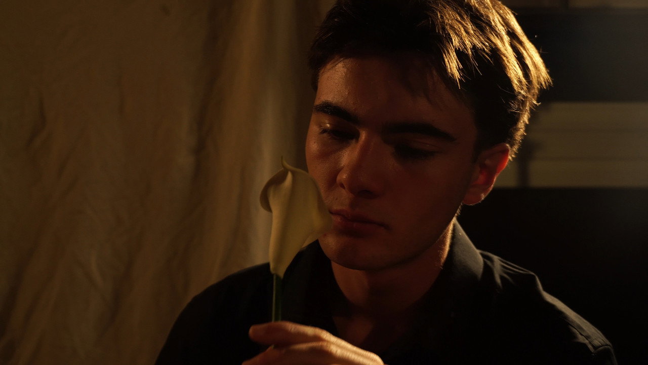 Narciso