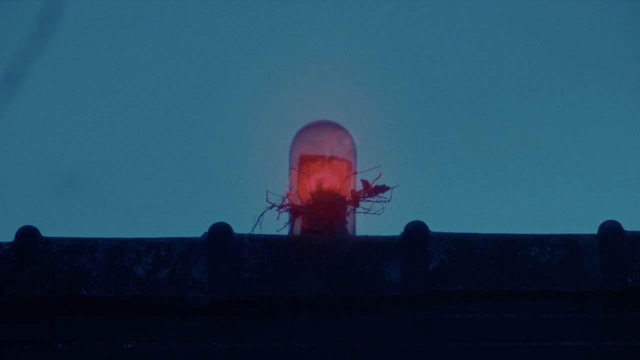 The House of Monsters