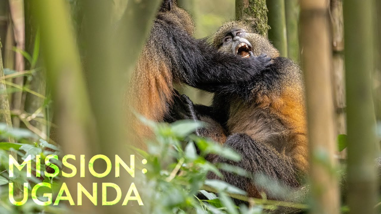 Mission: Uganda