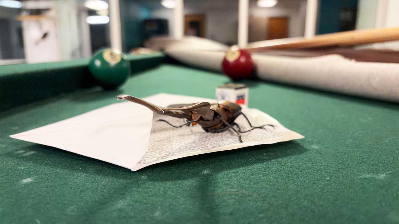 Bug Behind Schedule