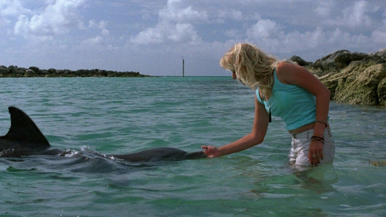 Alyssa et les dauphins