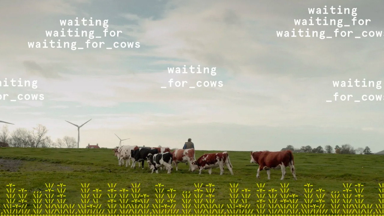 waiting_for_cows