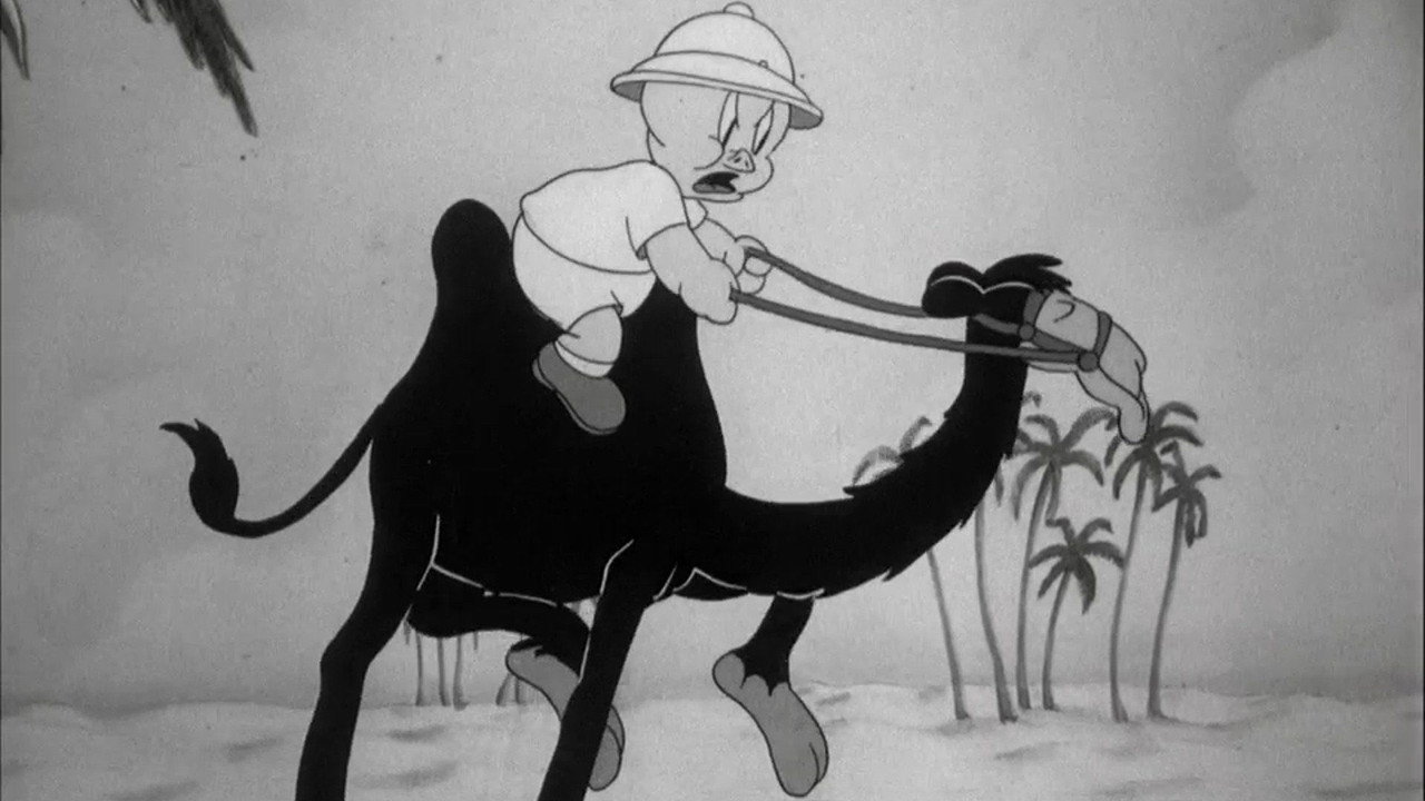 Porky en Egypte