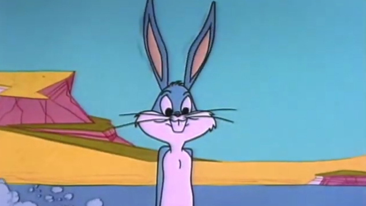 Un lapin dans le désert