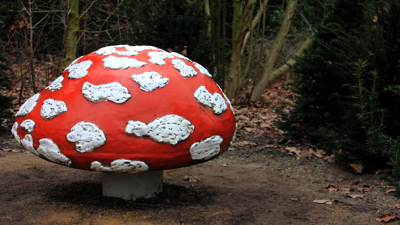 Efteling: Hier Werk Ik