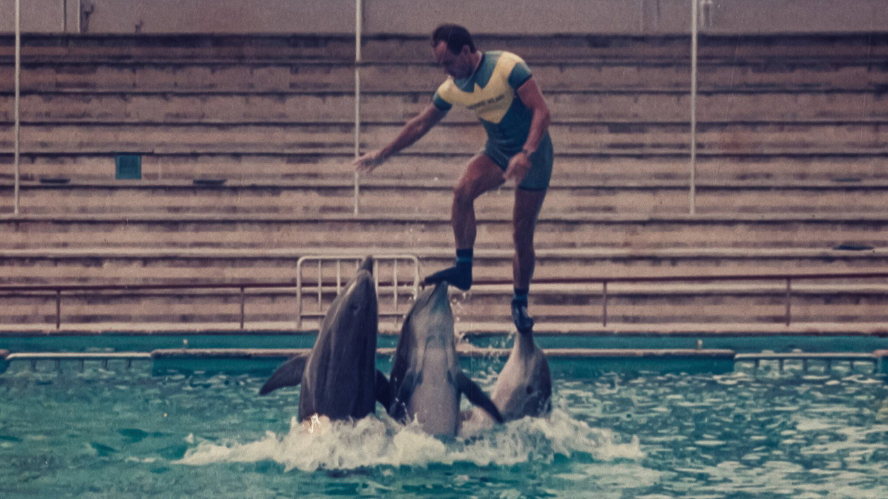 Qu'est-il arrivé au roi des dauphins ?