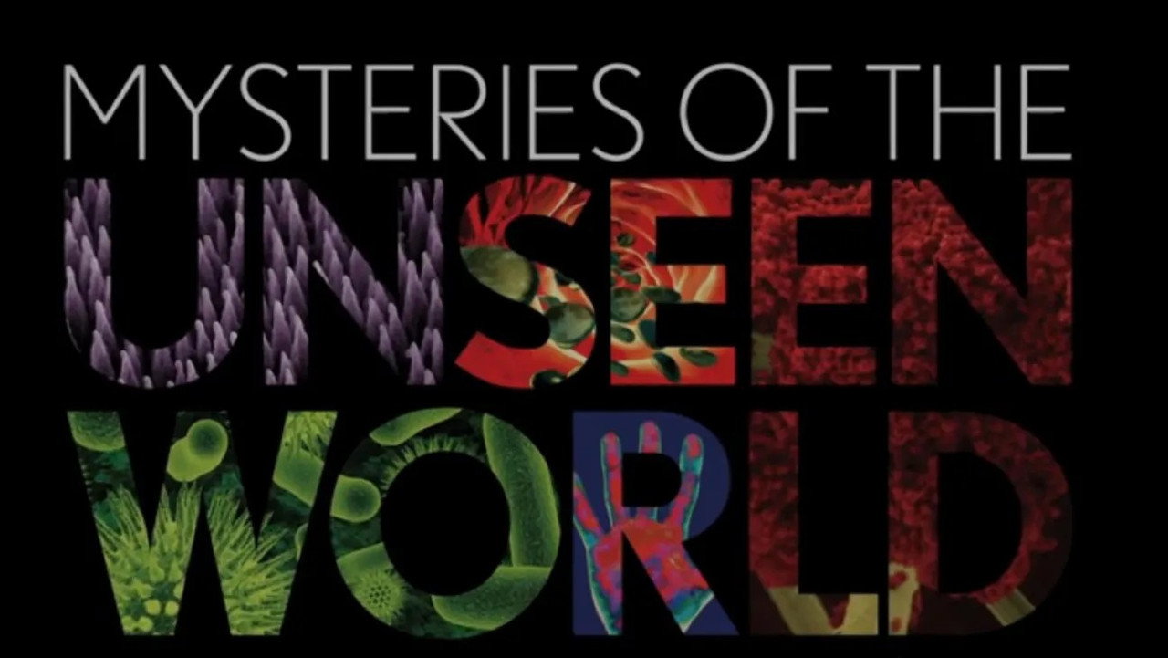 Mysteries of the Unseen World