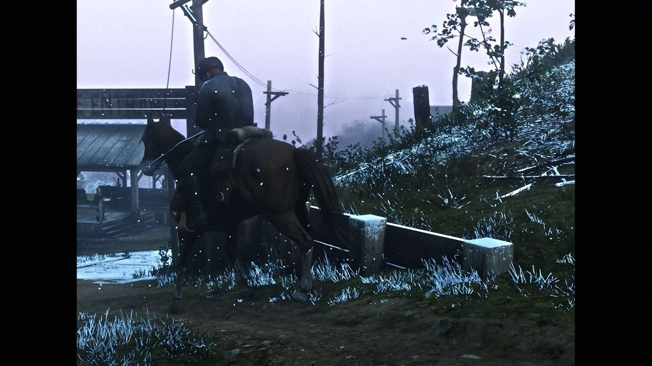 RED DEAD LIBERATION