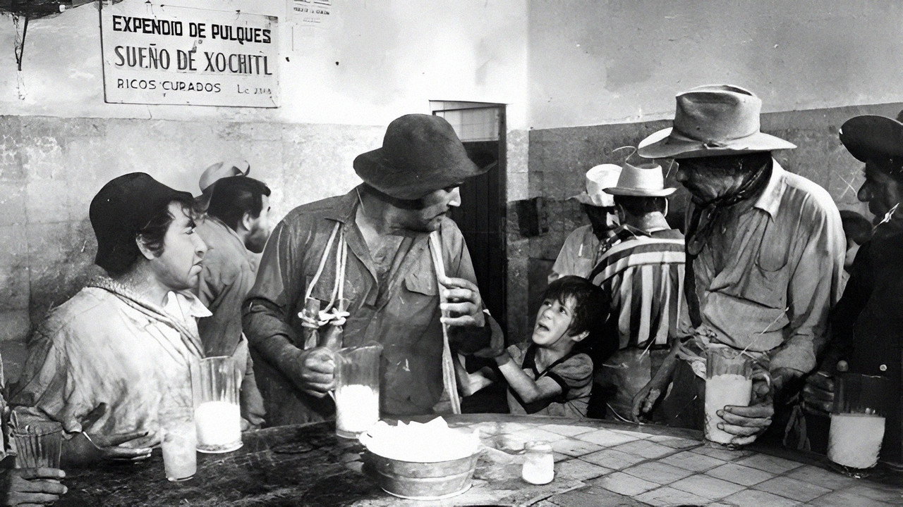 Los albañiles