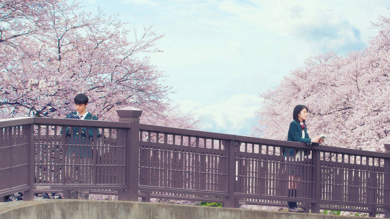 Kimi no Suizō wo Tabetai