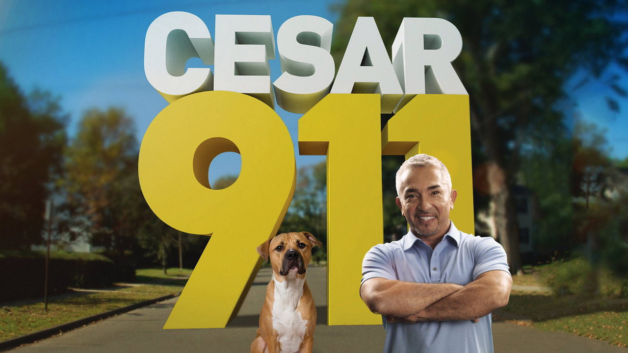 SOS César