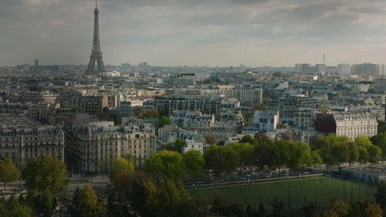 Le Suicide Francais
