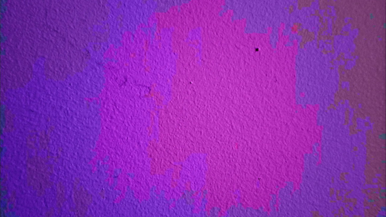 a tiny bug crawls across a wall