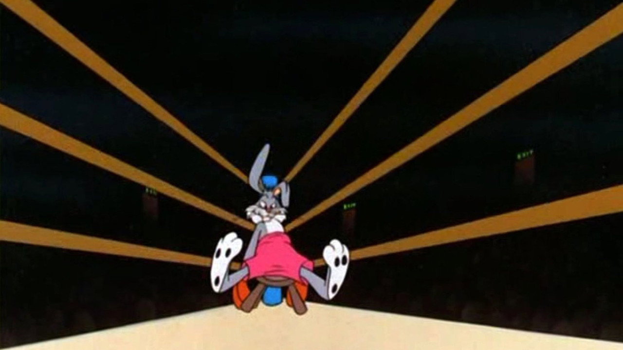 Un lapin qui a du punch