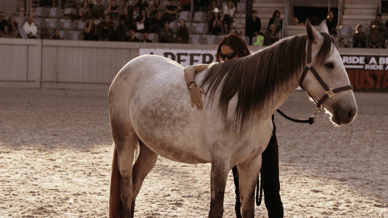 Pour l'amour des mustangs