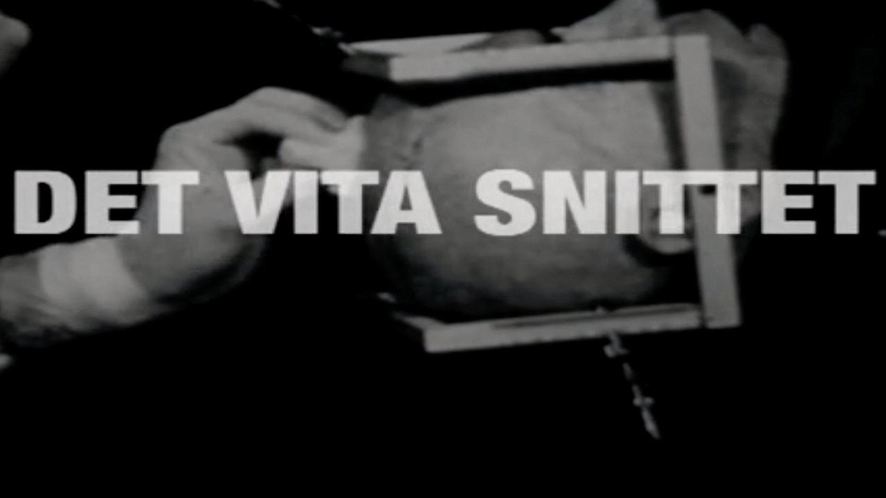 Det vita snittet