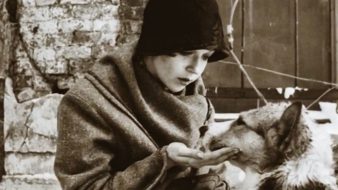 Cœur de chien