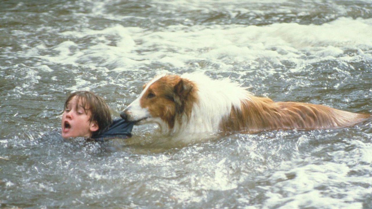 Lassie : Des amis pour la vie