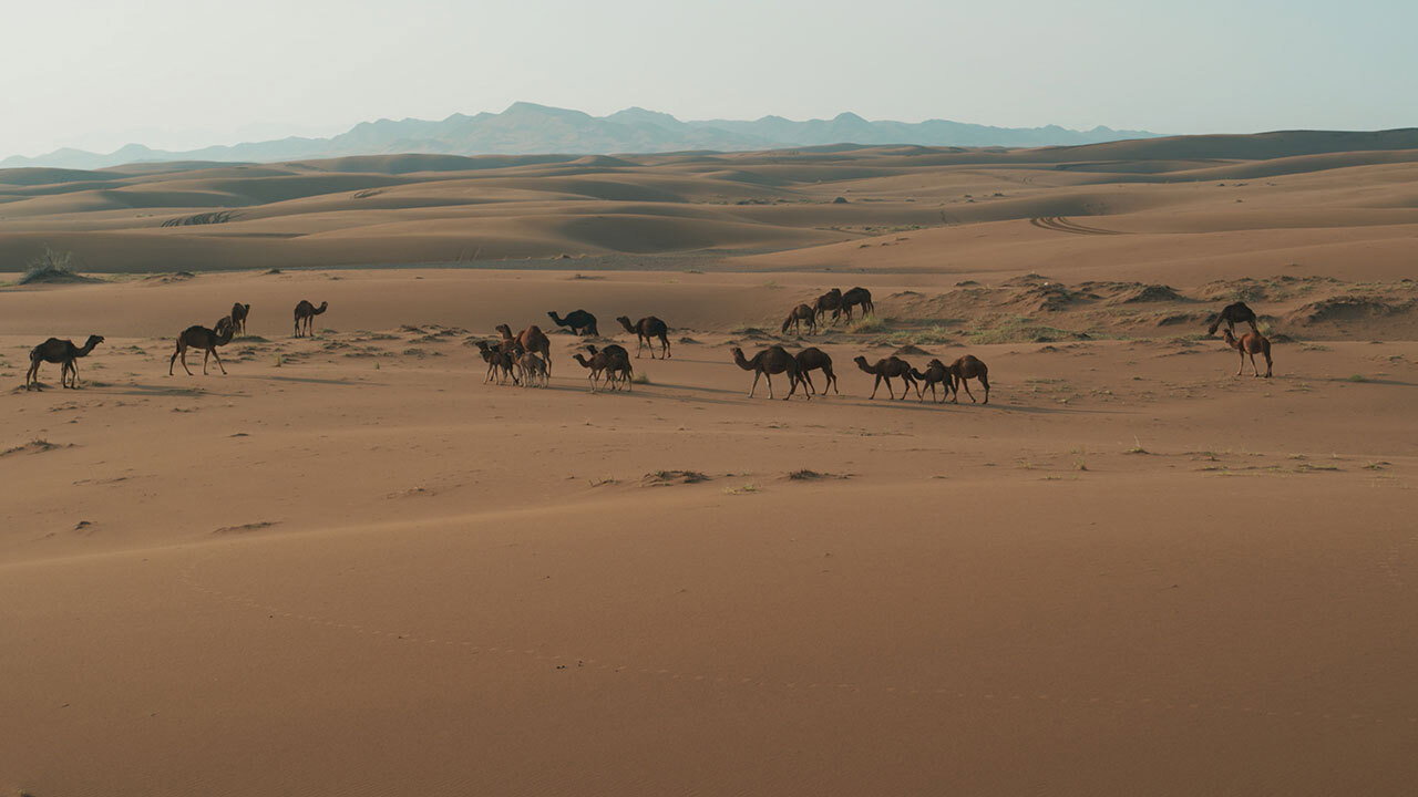 L'Iran vu du ciel