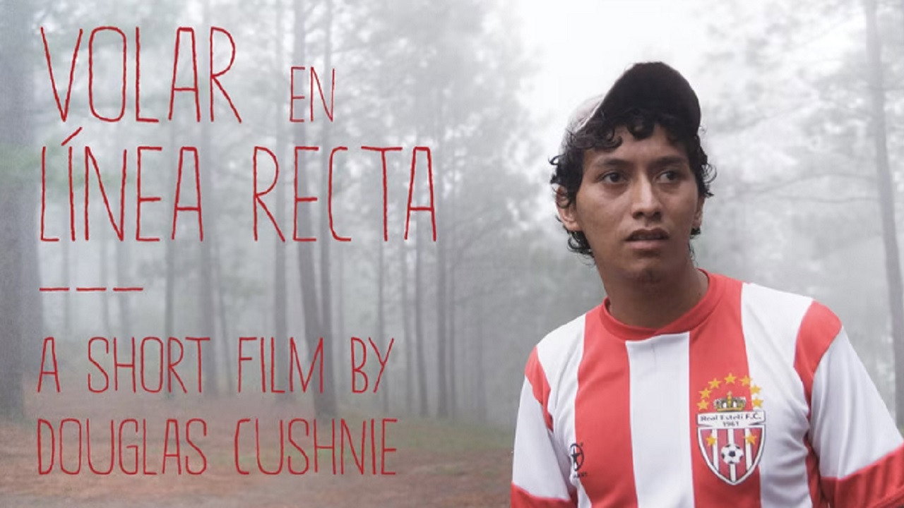 Volar en línea recta