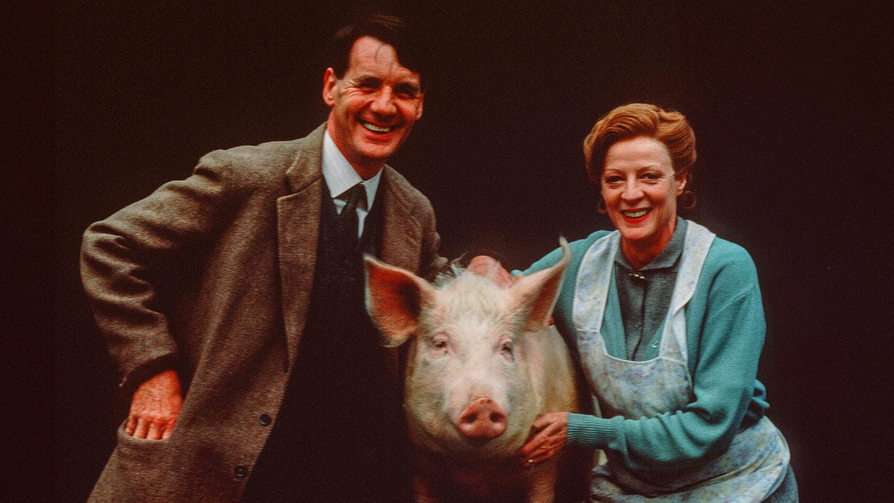 Porc Royal