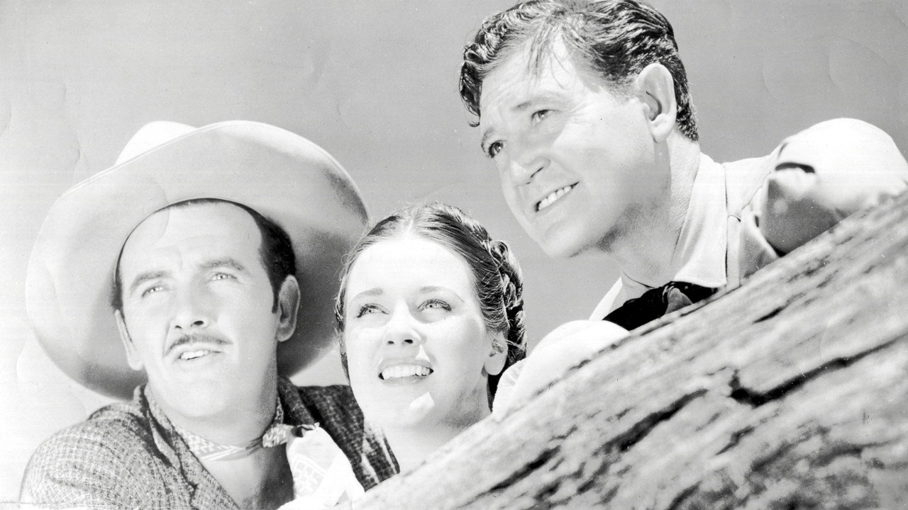 The Roundup