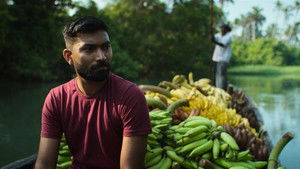 La banane