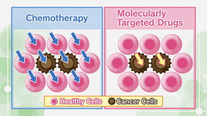 Lung Cancer #4: Pharmacological Treatments