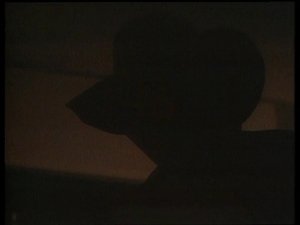 L'Ombre de la nuit / Le Petit Magicien / Chasse ouverte