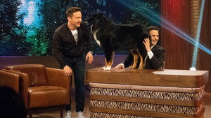 Épisode 12