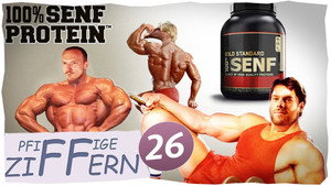 Épisode 26