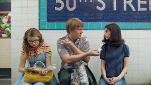 Discoid Cockroaches
