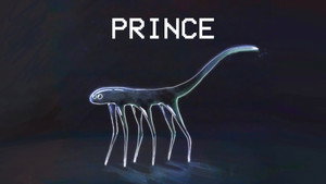 Prince Care Guide