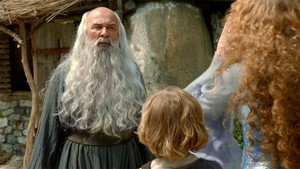 L'enchanteur désenchanté