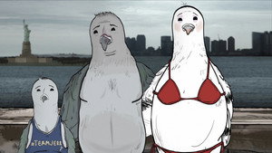 Pigeons (1)