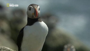 Épisode 3