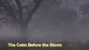 The Calm Before the Storm