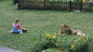 Episode 14