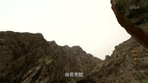 The Decline of the Zhou Royal House