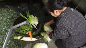 Harie, Shiga: A Town Living with Water