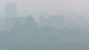PM2.5