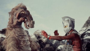 Épisode 49