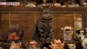Aichi: Lead by Beckoning Cats