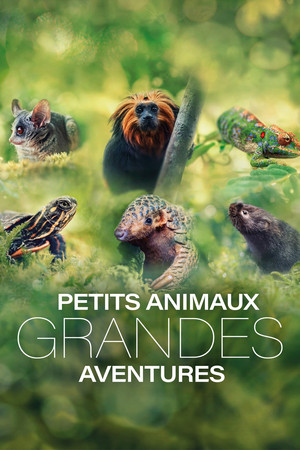Saison 1
